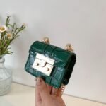 mini bag with a Gold chain strap and a crocodile-patterned - BA004