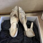 Elegant Crystal Embellished Pointed Toe Shoes - NS011